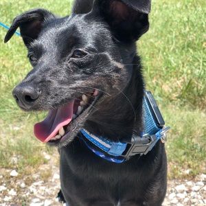 Meet your Posher, Mackenzie